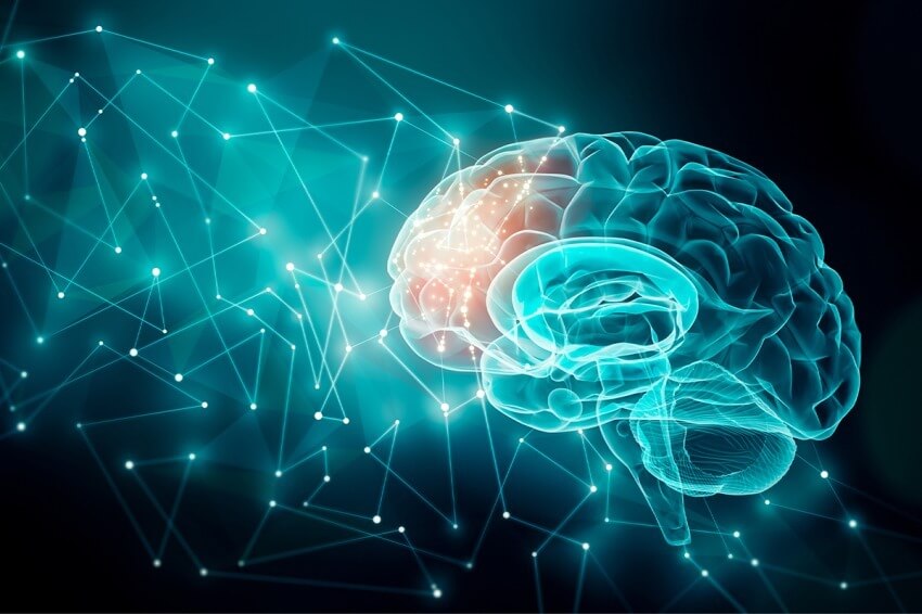 Alcol e cervello: quanto il consumo di alcolici influenza le nostre funzioni cognitive.